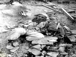 دفاع مقدس ، جنگ هشت ساله ، کهنسالان در دفاع مقدس ، آرشیو موضوعی دفاع مقدس -13
